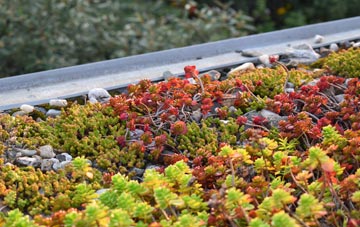 the cost of Ross Green green roof installation