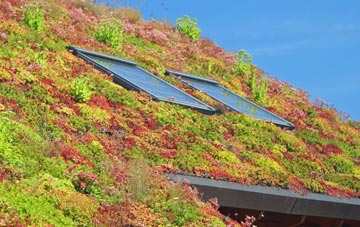 Ross Green living roof systems