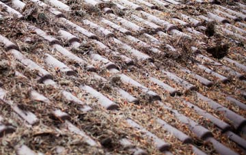 Ross Green roof cleaning companies